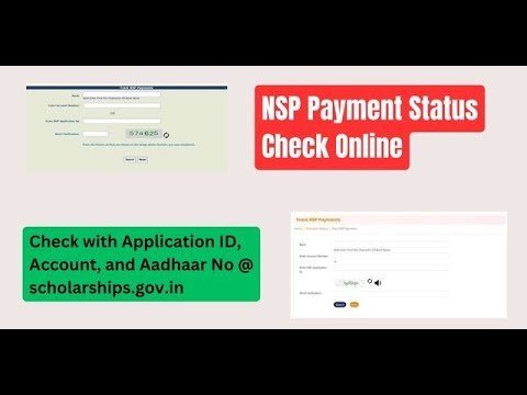 NSP Payment Status Check Online with Application ID, Account, and Aadhaar Number