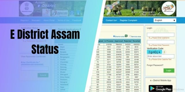 E District Assam Status