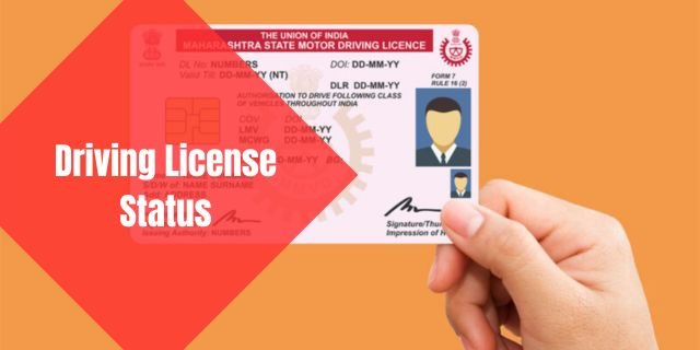 Driving License Status 