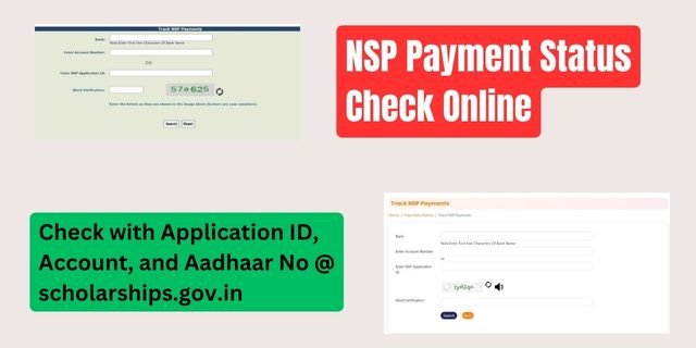 NSP Payment Status Online Check 