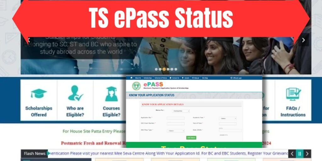 TS ePass Status